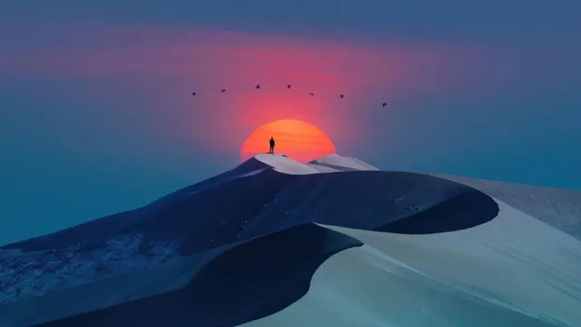 Alone Sunset wallpaper
